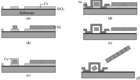 Figure 7:  Out-stretching displacements of LSMDs (D=30  µ m,  θ =1 ° , T=11  µ m) under various bent beam widths at constant applied  voltage (3 volts)