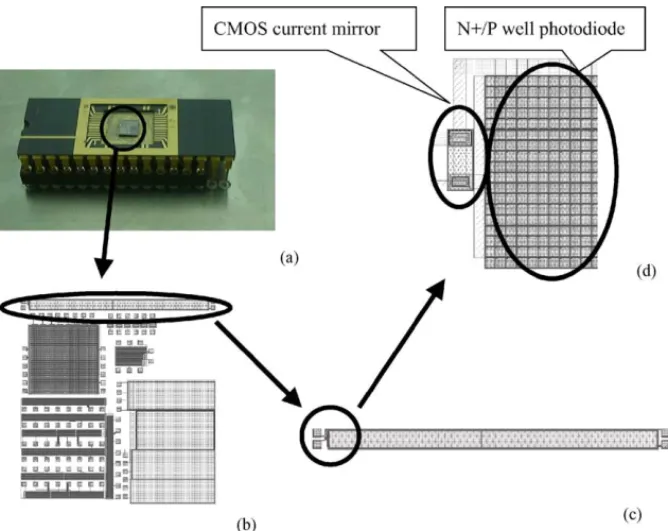 Fig. 3. Layout diagrams of CMOS chemiluminescence sensor chip. (a) CMOS chemiluminescence sensor chip