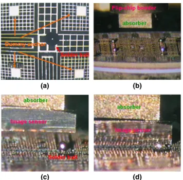 Fig. 13. (Color online) Illustration of static measurement of WYKO system.