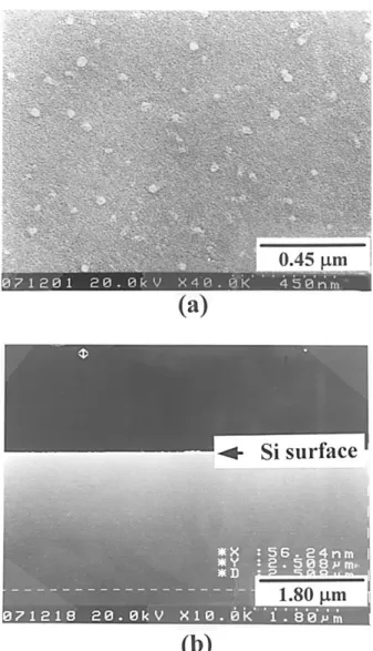 Figure 1. SEM micrographs of a control sample etched with a  preferential etchant for 10 s