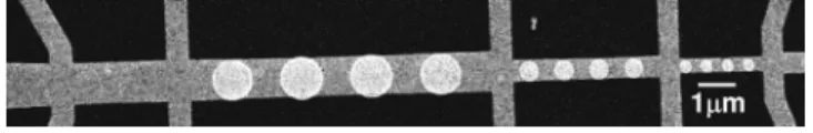 FIG. 1. Scanning electron microscopy 共SEM兲 image of one sample. Mea- Mea-suring current is applied along the long Au strip and resistance is measured between two neighboring vertical Au contacts