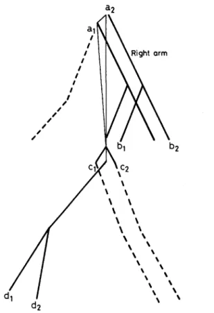 FIG.  7.  Superposition  of  the  recovered body  configurations  for  frame  1 of  SEQl
