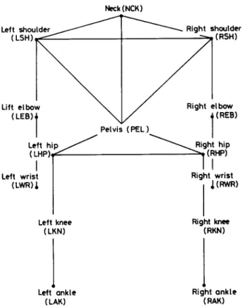 FIG.  1.  The  stick-figure  human  body  model  containing  14 joints  and  17  segments