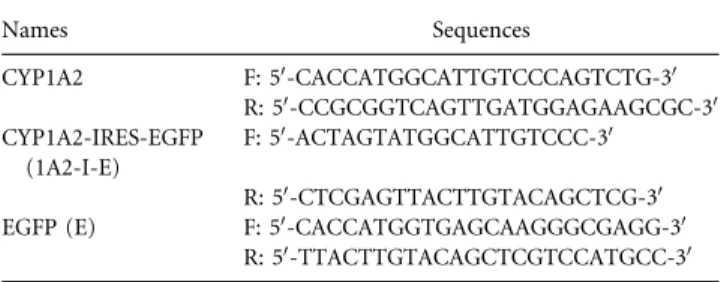 Table I. The names and sequences of the primers.
