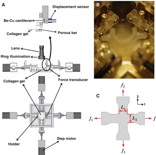 Fig. 2 (a) Top view and side