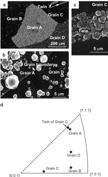 Fig. 1 a shows a typical low-magnification SEM image in