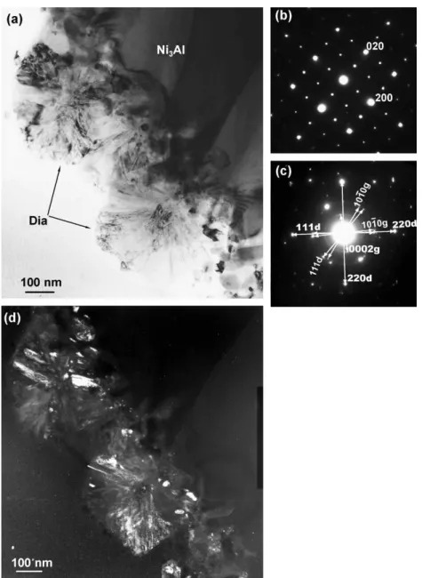 Fig. 6. (a) XTEM bright field image of diamond deposited on Ni 3 Al with negative biasing