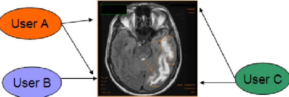 Figure 2.  Different users have different view on the DICOM file contents 