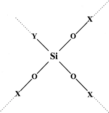 Figure 2. Schematic bonding structure of an adhesion promoter with X and
