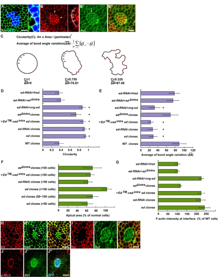 Fig. 1. See next page for legend. D EVELOPMENT