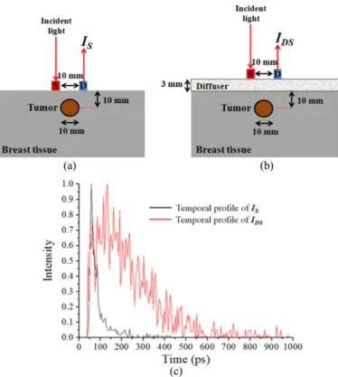 Fig. 3. Geometric configuration of optode for breast imaging: (a) source– detector separations on optode and (b) probing scheme of optode for breast imaging