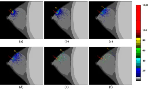 Fig. 5. Propagation pattern of photon migration with respect to various source–detector separations with (a) 1 cm, (b) 2 cm, (c) 3 cm, (d) 4 cm, (e) 5 cm, and (f) 6 cm.