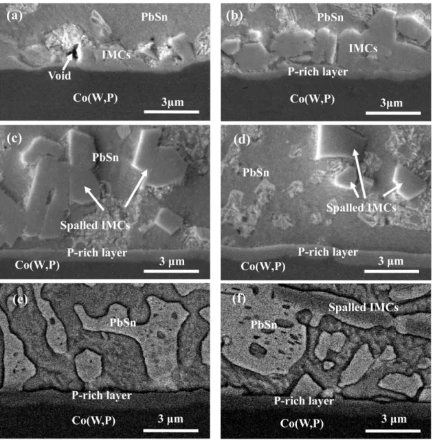 Fig. 1. Cross-sectional SEM micrographs of PbSn/˛-Co(W,P) samples subjected to liquid-state aging at 250 ◦ C for (a) 1 min, (b) 20 min, (c) 30 min, (d) 1 h, (e) 3 h and (f) 5 h.