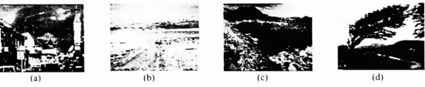 Figure 5. Four test sequences used for evaluate the performance of motion estimation.