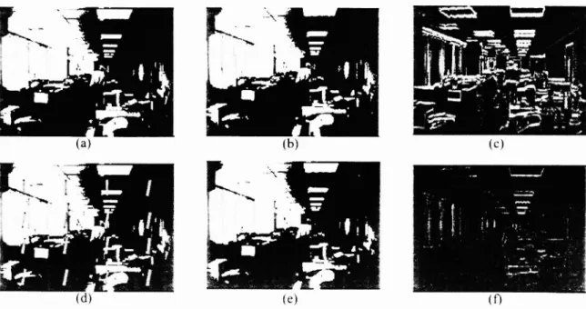 Figure 9. The simulation results: (a) the reference frame (b) the compared frame (c) dif6rence hetv'een (a) and (b) (d) valid local motion vectors (e) the aligned frame without interpolation (0 difference between (a) and (e).