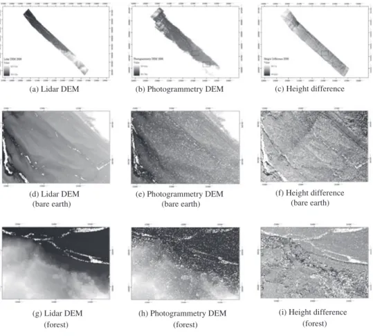 Fig. 2. The terrain and height differences in 2008.
