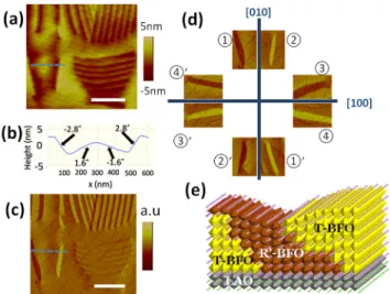 FIG. 1. Eight different R’ phase lamellae variants identified in the as-grown film. (a) AFM height image of the BFO sample in as-grown state