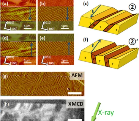 FIG. 4. Deterministically control the phase variants as- as-sembly and probing their magnetic properties