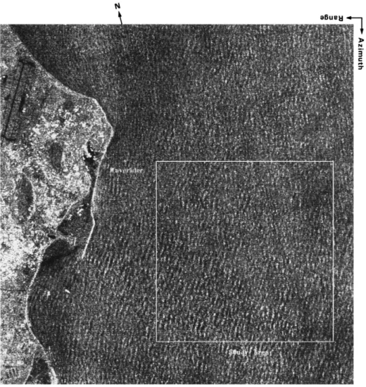 Fig. 1. The part image of a SAR scene over Hualien of eastern Taiwan, as acquired from CSRSR on November 26, 1993, 10:30 TLT