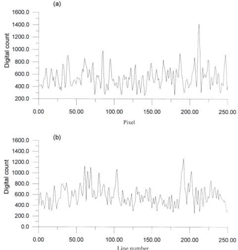 Fig. 3. Variation in wave signals of SAR image in (a) the X direction on the right side of the image, (b) the Y direction on the lower side of the image.