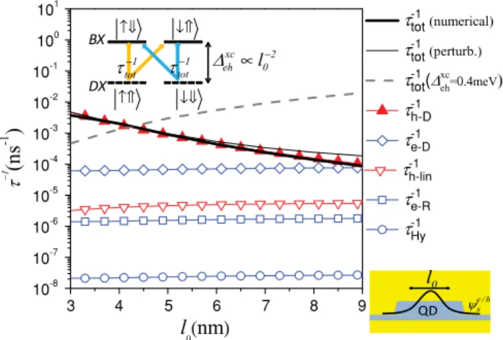 FIG. 1. (Color online) Exciton spin relaxation rates in the DX to BX transition and the rates contributed from each spin-flip mechanism, as functions of the QD size