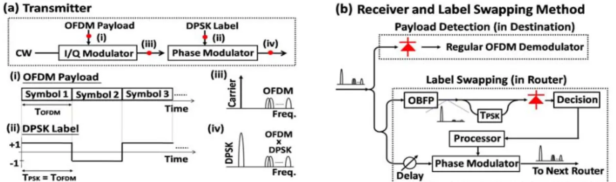 Fig. 1. (a) Transmitter of the DPSK labelled OFDM, and (b) payload detection in destination and the label swapping technique in the router.