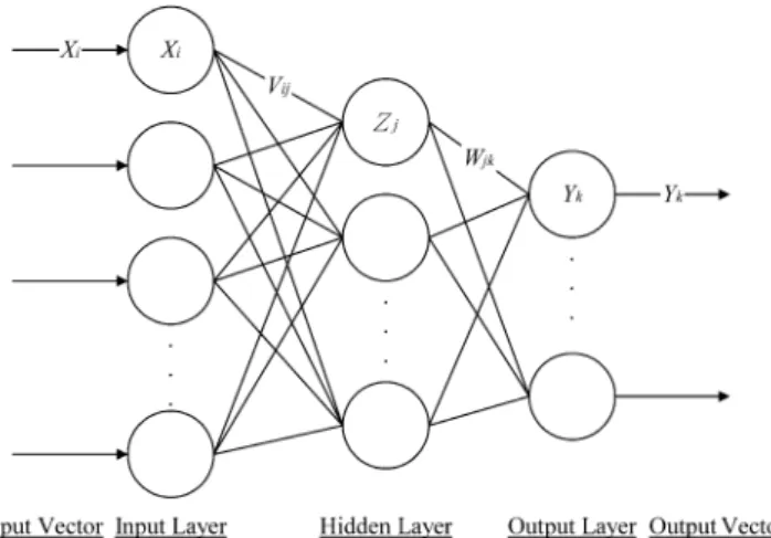 Fig. 2 An example of three-layer back-propagation neural network