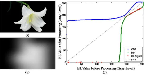 Fig. 4. An example of using the IMF method. (a) High CR target image—Lily. (b) BL image of Lily