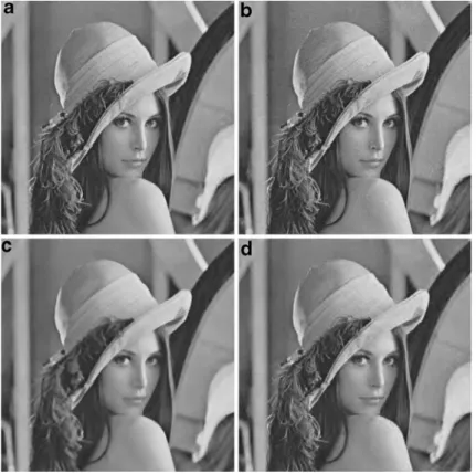 Fig. 4 a Original watermarked Lena image by DEED R b JPEG compressed Lena image with QF=40%,