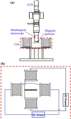 Fig. 1 a Schematic of experimental setup, and b top view configu- configu-ration of coil pairs for geneconfigu-ration of oscillating magnetic field