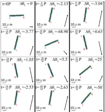 Fig. 6 Images of 9-particle (P9) chain oscillating in a stronger perpendicular component of H d = 24.15 Oe, H p = 124.48 Oe and