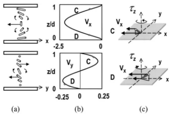 FIG. 5. 共a兲 Director profile at low voltage 共2.6 V兲. 共b兲 Calculated flow velocity 共mm/s兲 at t⫽0.1 ms after switching to 10 V from 2.6 V at t⫽0