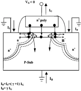 Figure 2 depicts the dependence of the measured gate current I G , drain current I D , source current I S , and 