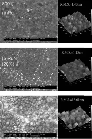 Figure 6. SEM images and AFM micrographs of 共a兲 Ru/Si; 共b兲 RuN 共20%兲/