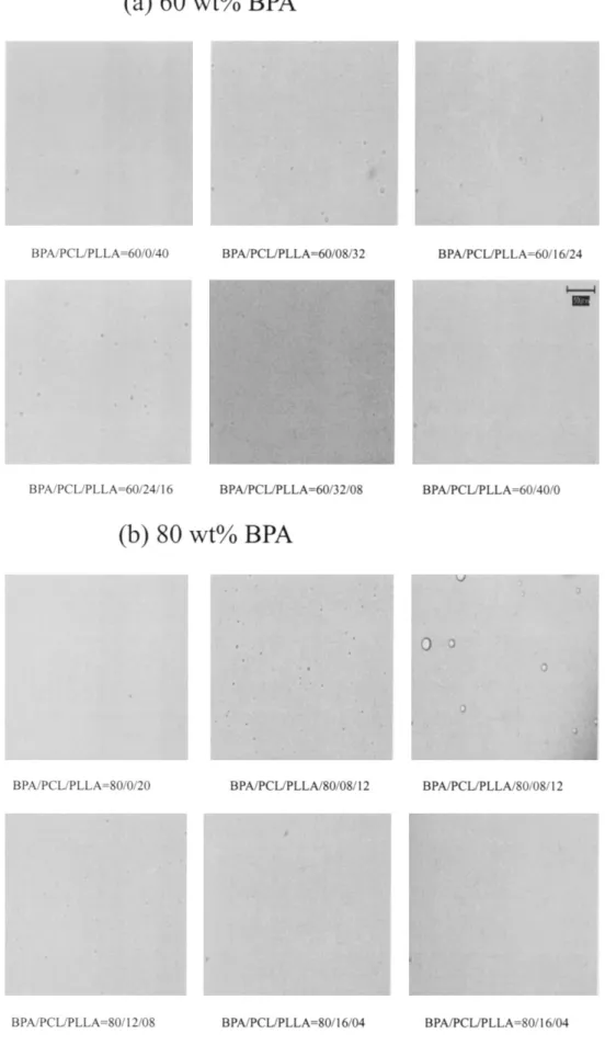 Figure 10 Optical micrographs recorded at 40°C of BPA/PCL/PLLA ternary blends having varying BPA content: (a) 60 wt % and (b) 80 wt %.