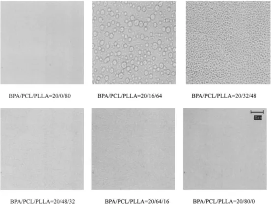 Figure 6 Optical micrographs recorded at 40°C of BPA/PCL/PLLA ternary blends having varying compositions