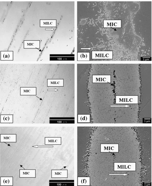 Fig. 3. Optical micrographs and corresponding SEM images of specimens A, E, and F after the seeding step (a)–(b) specimen A (266 MPa), (c)–(d) specimen E (8 MPa), and (e)–(f) specimen F (4 MPa).