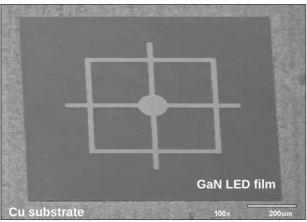 Figure 2: The SEM images of the transferred LED c on Cu substrate. No peeling or cracks were  observed on the LED film