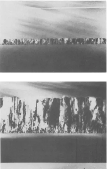 Fig.  1.  Cross-sectional  TEM  micrographs.  A,  top:  t  =  1950A,  N  =  1  •  1017  cm -3