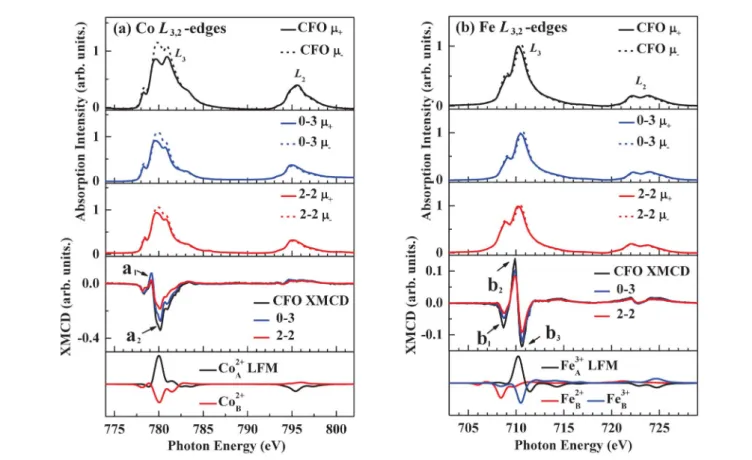 Fig. 3 Normalized (a) Co and (b) Fe L 3,2 -edge XANES spectra with photo-helicity of incident X-rays parallel (m + ) and anti-parallel (m 2 ) to the direction of magnetization