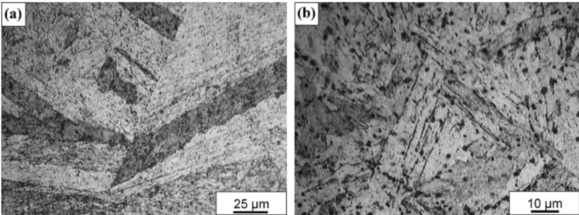 Fig. 5. Optical micrographs of C-250 maraging steel: (a) “homogenization + aging” treatment applied after flow-forming; (b) “homogenization + solution + aging” treatment applied after flow-forming.