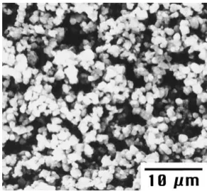 Figure 1 SEM micrograph of dielectric ceramic sintered at 800 ◦ C for 0.5 h.