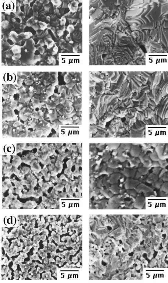 Figure 4 Microstructure changes in silver films added with 1 wt% (a) WO 3 , (b) Fe 2 O 3 , (c) ZnO and (d) ZrO 2 by sintering at 600 ◦ C (left) and 800 ◦ C