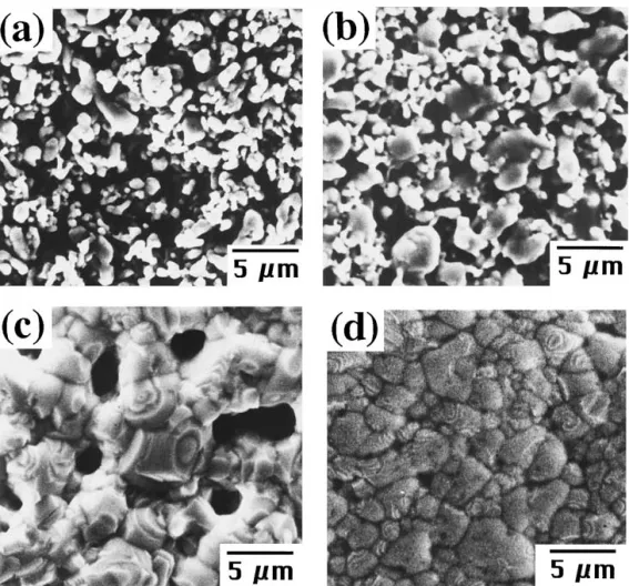 Figure 9 Surface microstructure of silver films with 1.5 wt% MO-Zr additive changes with sintering temperatures at (a) 400 ◦ C, (b) 600 ◦ C, (c) 800 ◦ C, and (d) 950 ◦ C for 0.5 h.