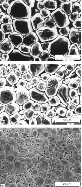 Figure 1 SEM micrographs for BaTiO3 doped with 1.0 mole%