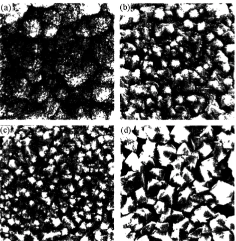 Fig.  1 shows  the  influence  of adding  nitrogen  on the  surface  morphology  of diamond  films  deposited  at CH,  concentration  of  80%  (i.e