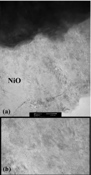Fig. 1. Scheme of a mushroom structure. A back-end-of-line (BEOL) standard interconnection process was used to clarify a local NiO
