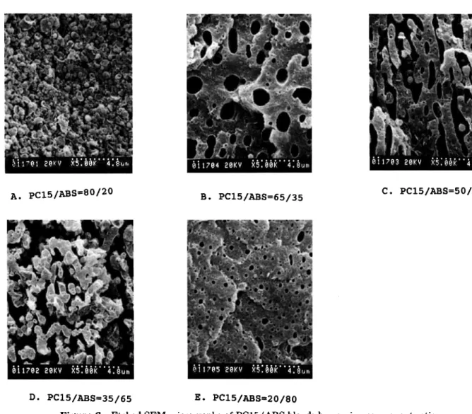 Figure  9  shows the skin layer SEM micrographs of 