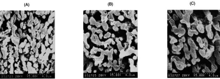 Figure 10  Etched SEM core morphologies  of PC15/ABS  =  65/35  blend annealed at  different times at 175°C:  ( A )   annealed 5 min; ( B )  annealed 10 min; ( C )  annealed 15 min