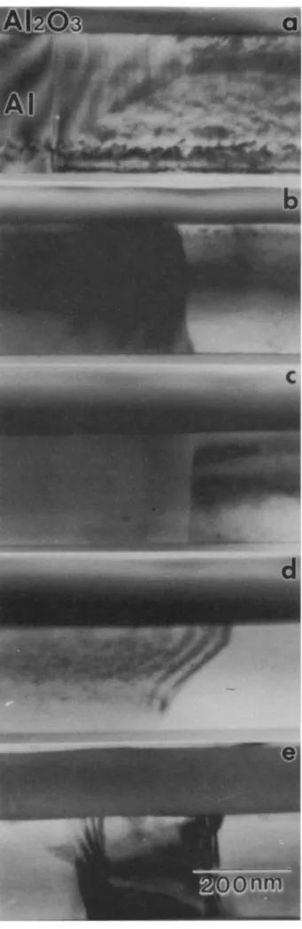 Fig. 4. Cross-sectional TEM micrographs of A1203 films formed on preannealed Al metal films